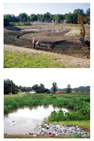 Figure 19. Adding features and topsoil in a large wetland.